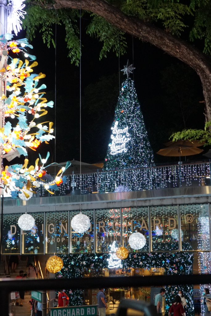 Bus Tour Big Bus Duck Vanivani Com